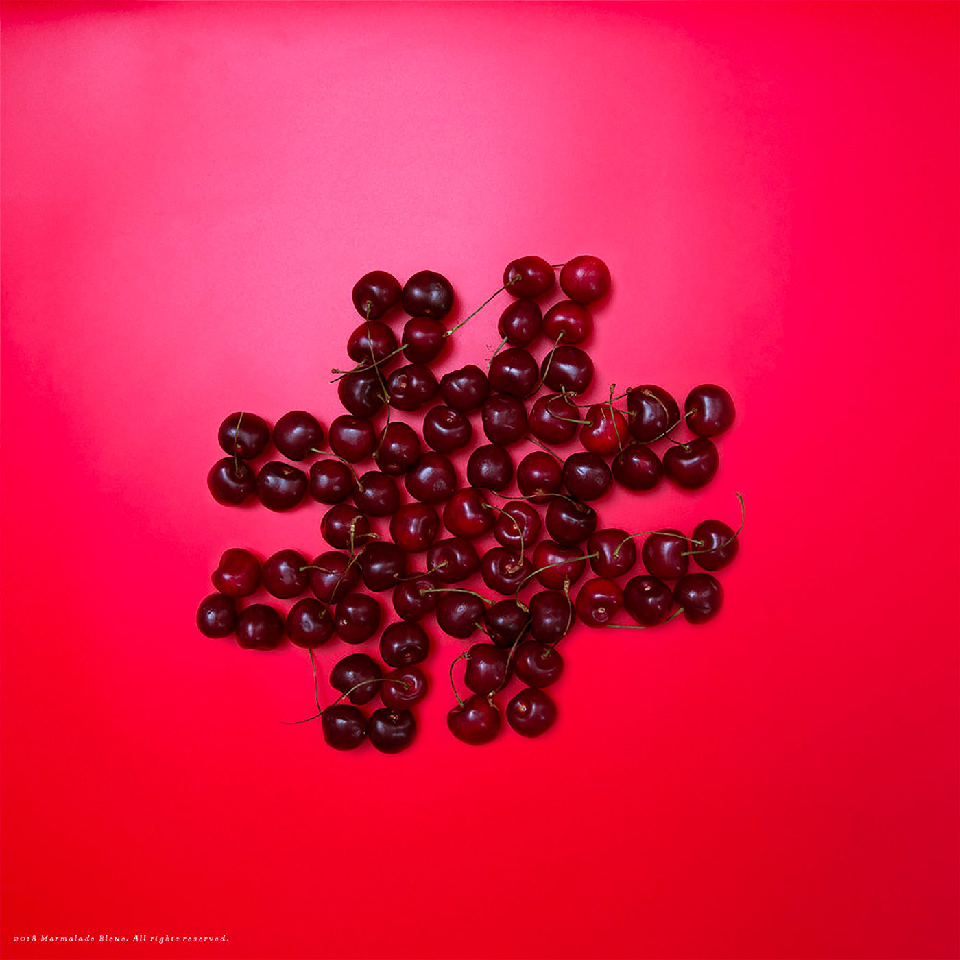 food，source material，vision，Graphic Artist Designer，