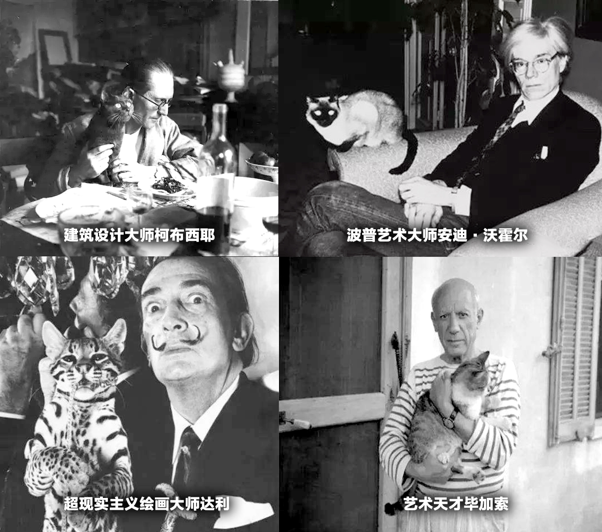 cat，Cat scratch board，Cat nest，Pet nest，Cat products，Home Furnishing，furniture，Pets，