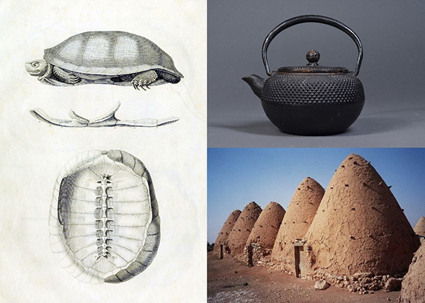 Pets，product design，industrial design，Cat litter，fashion，