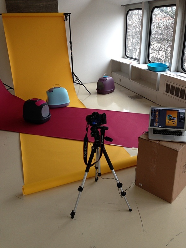 Pets，product design，industrial design，Cat litter，fashion，