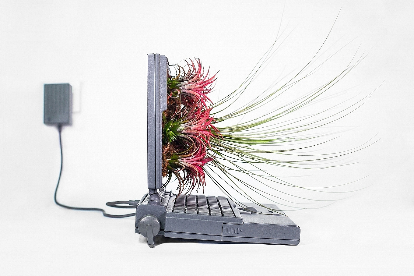 Home Furnishing，Botany，decorate，product design，industrial design，