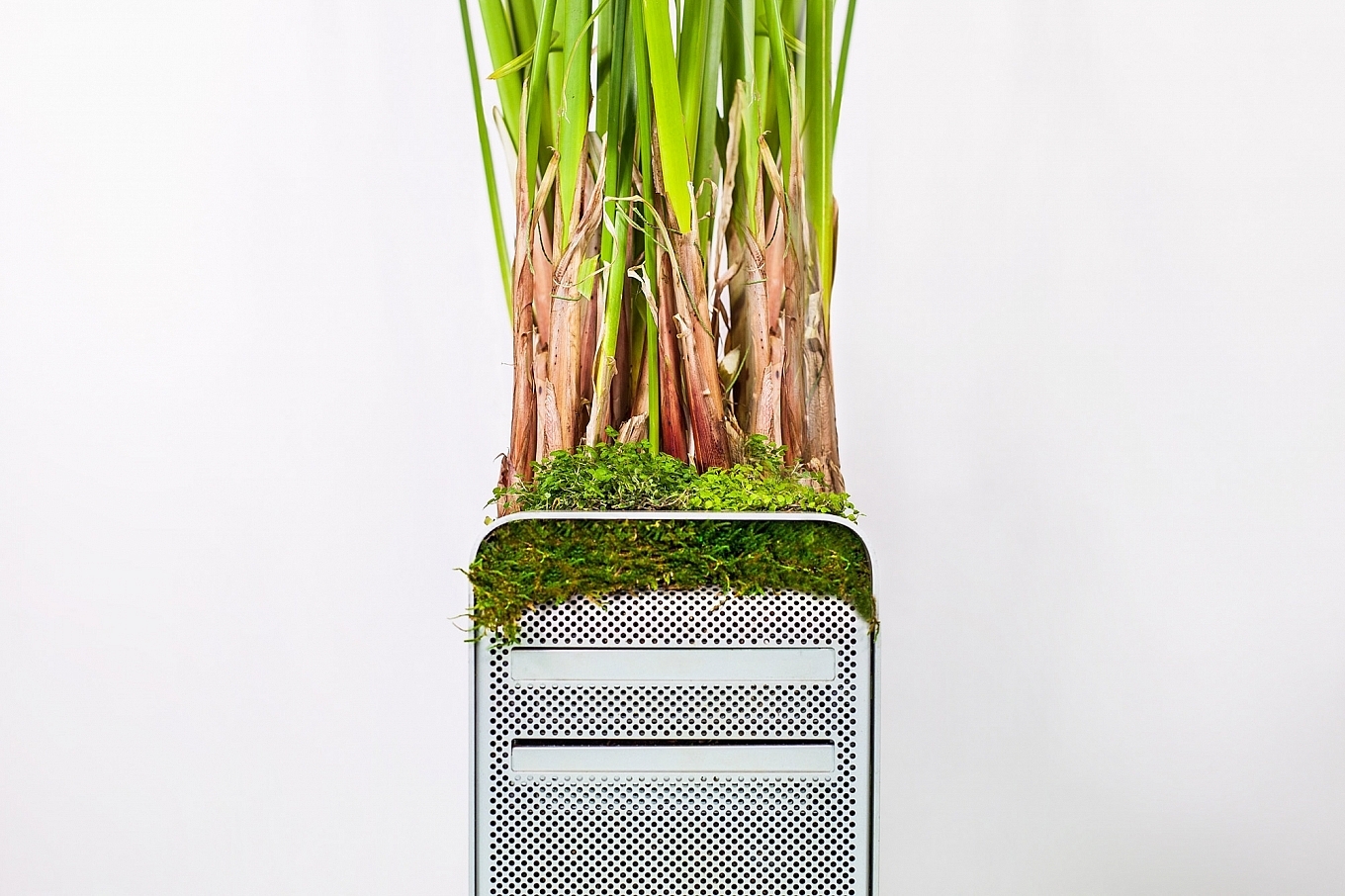 Home Furnishing，Botany，decorate，product design，industrial design，