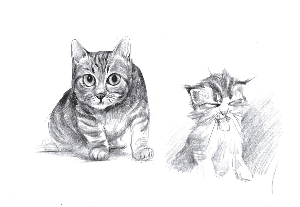 Hand drawn industrial design，Design hand drawn，Bionics Design ，