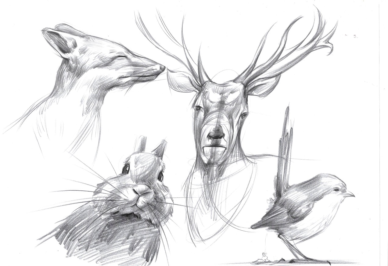 Hand drawn industrial design，Design hand drawn，Bionics Design ，