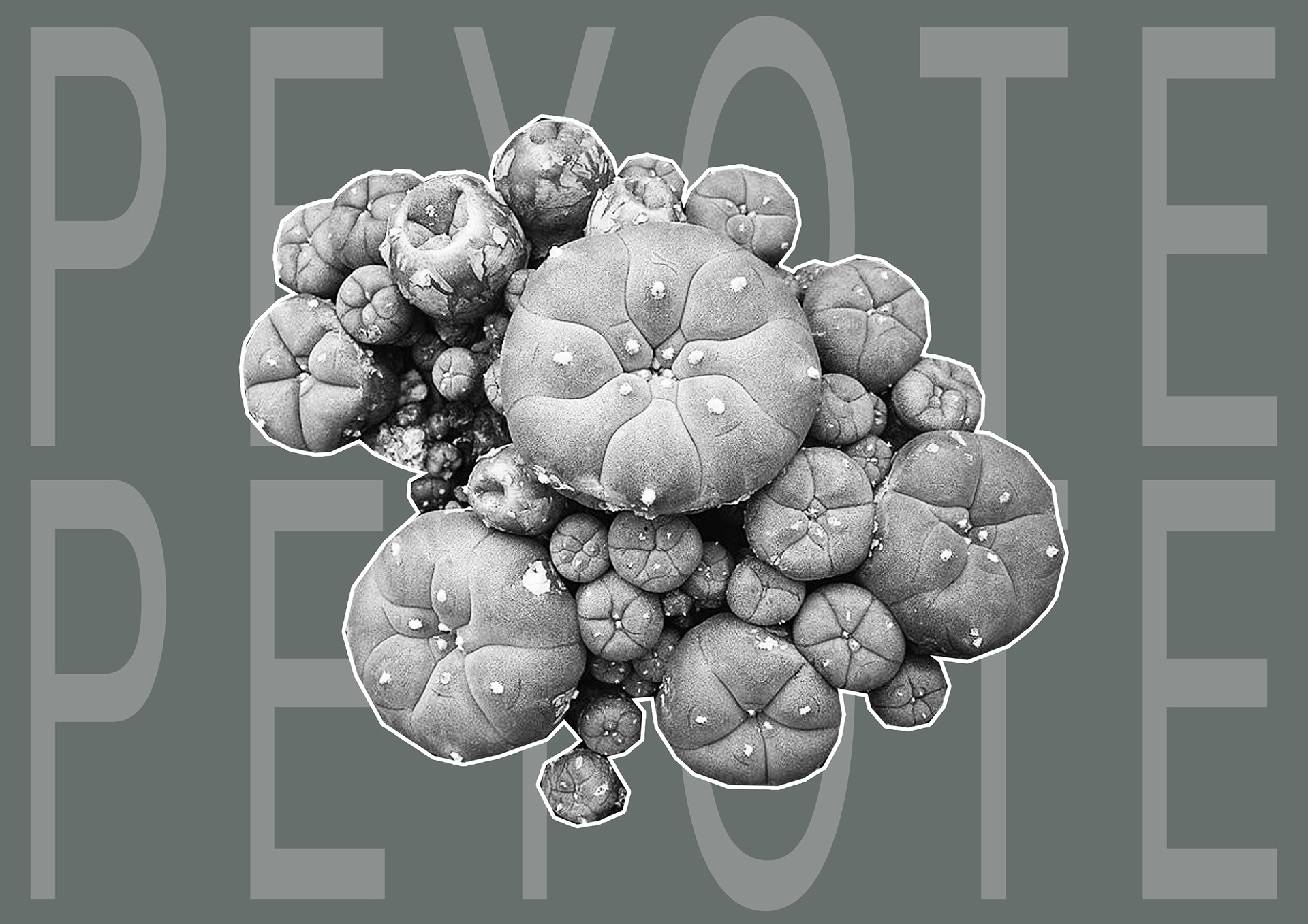 lighting，lamps and lanterns，melon，