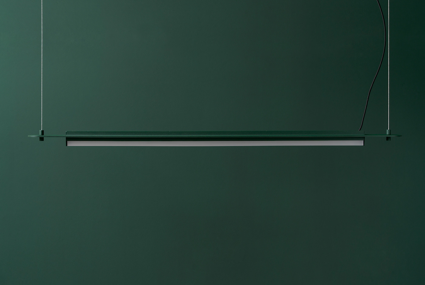 green，forest，FILD，exhibition booth，Visual design，