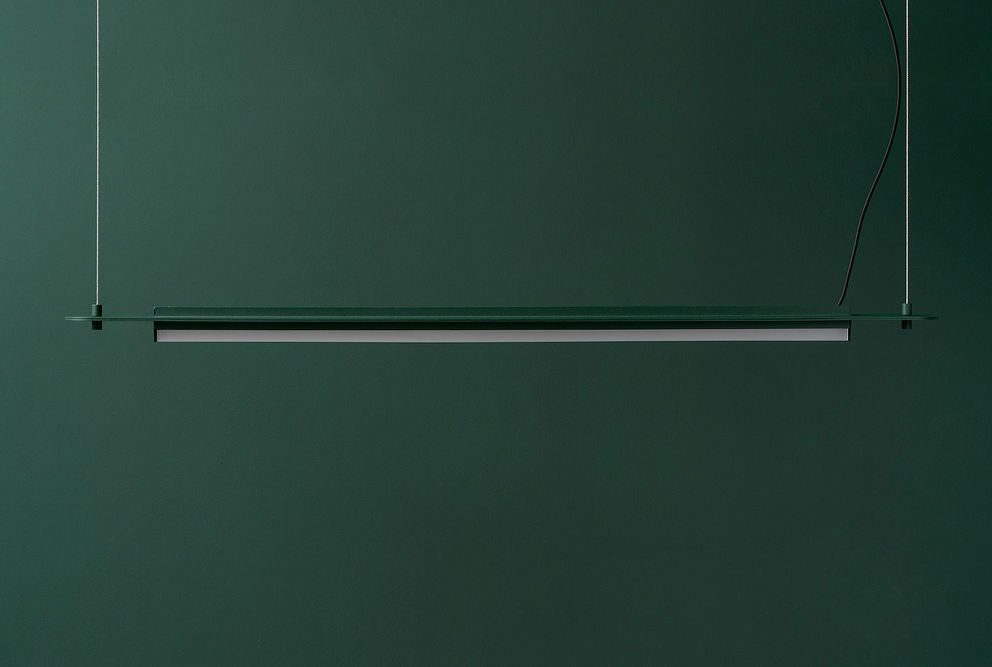 green，forest，FILD，exhibition booth，Visual design，