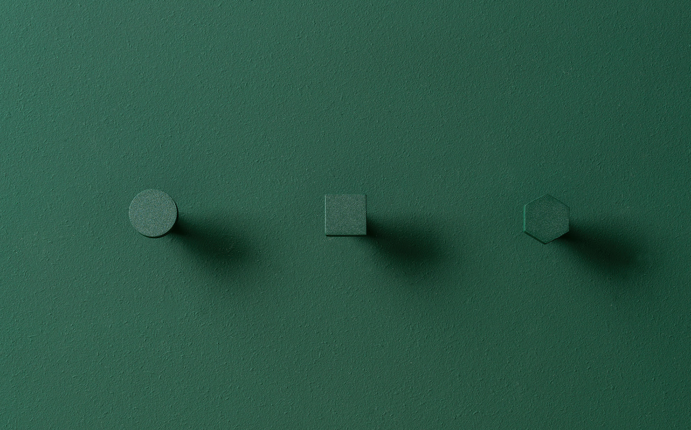 green，forest，FILD，exhibition booth，Visual design，