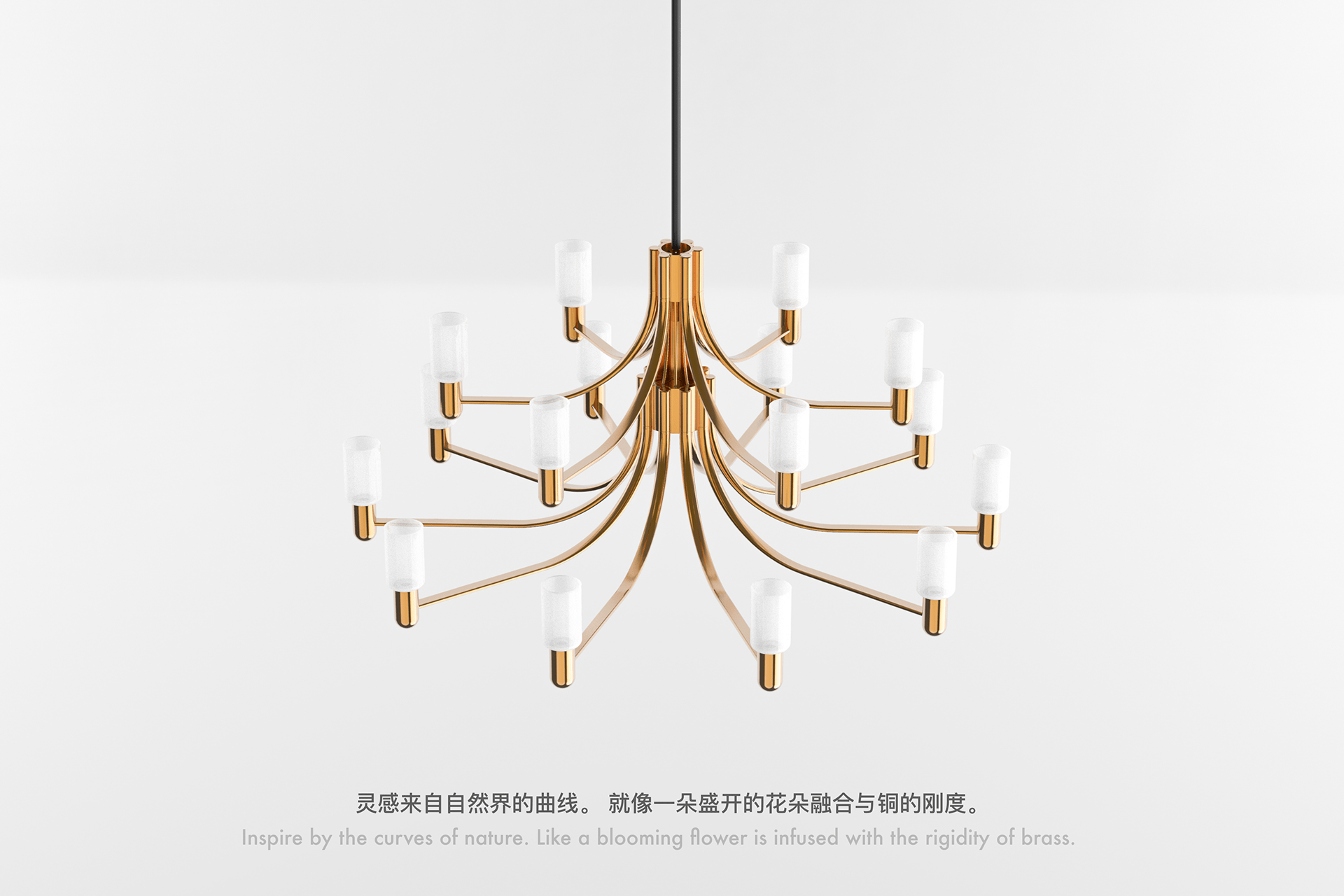 a chandelier，Home Furnishing，branch，natural，
