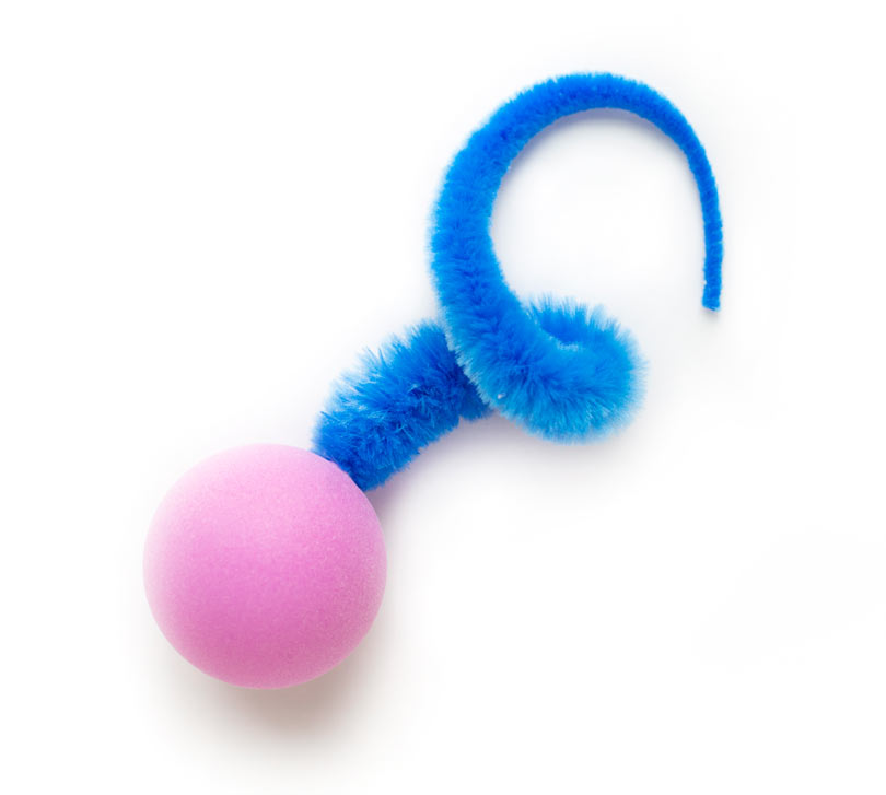 Tools and equipment，Pets，Toys，quarantine，of one's own unit，pleasure，play，