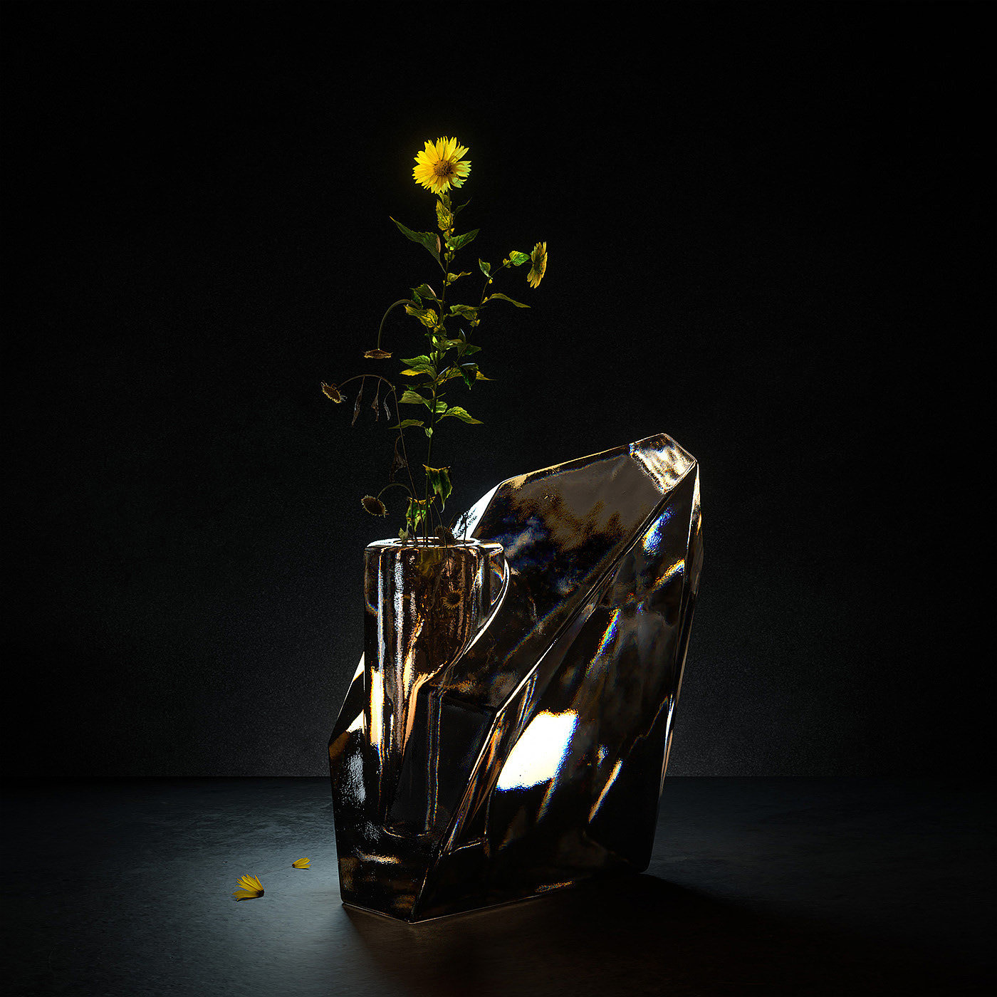 light，Photography，texture，3d，vision，