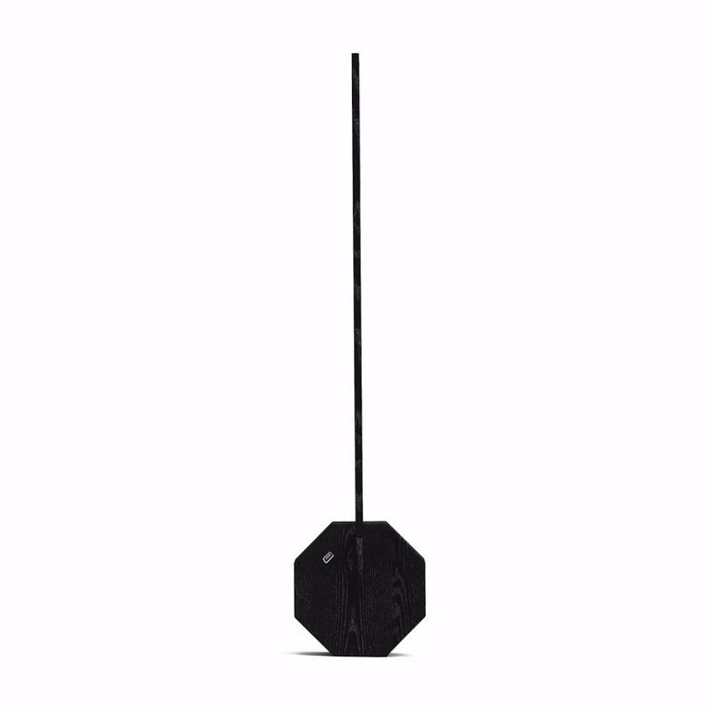 product design，industrial design，woodiness，Octagonal，Desk lamp，lamp，