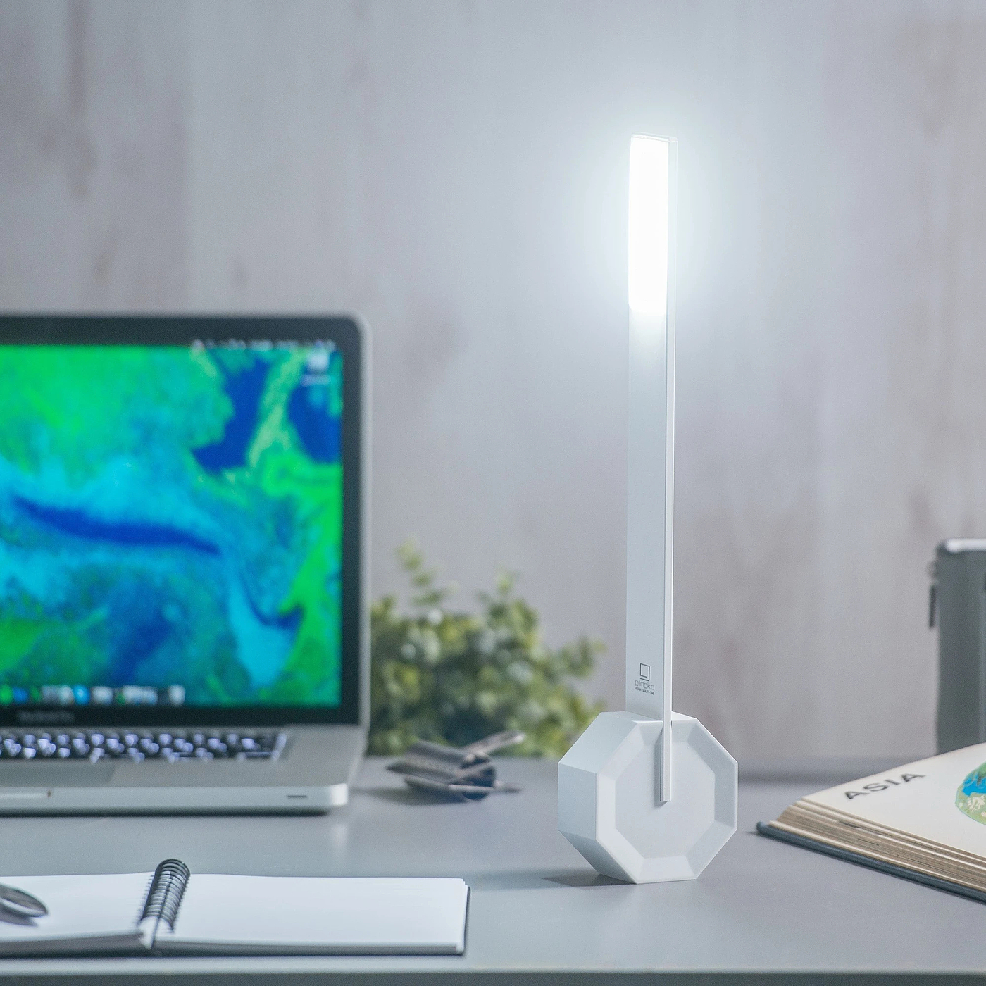 product design，industrial design，woodiness，Octagonal，Desk lamp，lamp，
