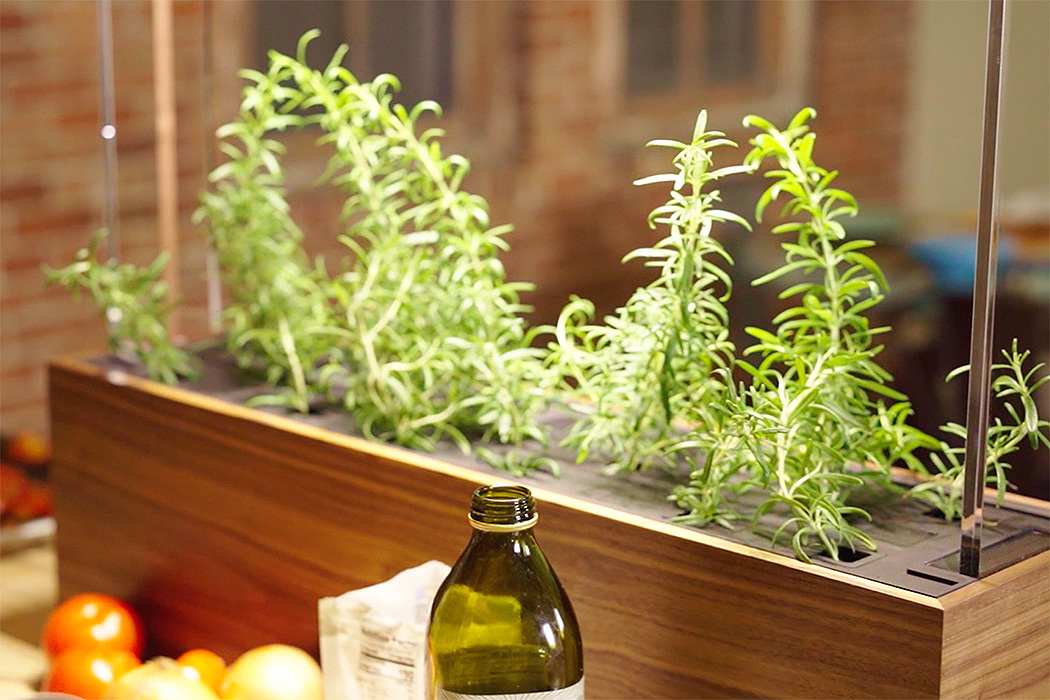 home gardening，modularization，Herb Garden，intelligence，application program，