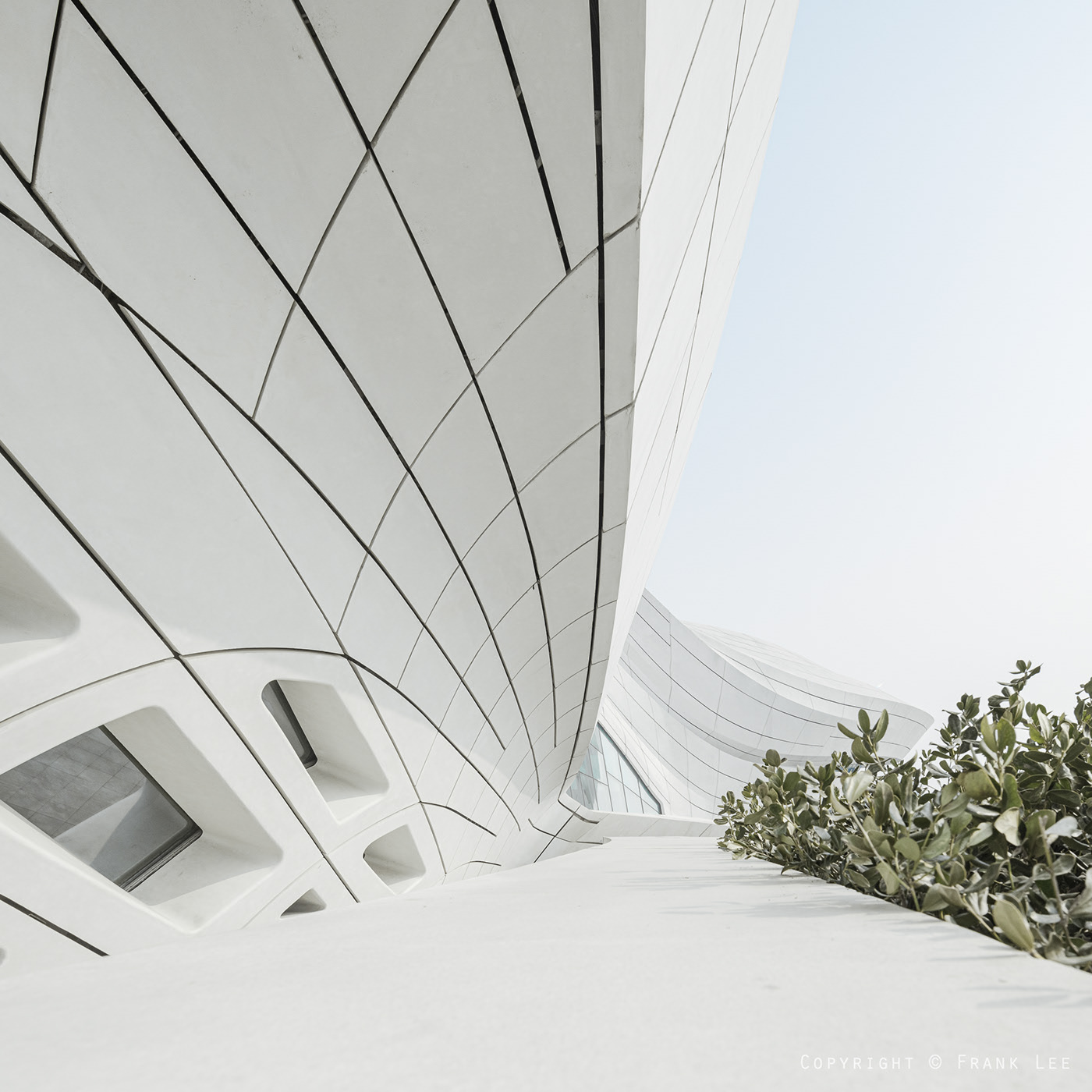 Photography，Architecture，Meixi Lake International Culture and Art Center，