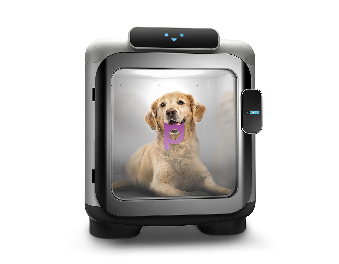 Petnation Petkeeper，Pet Supplies & Pet，modular，hotel，