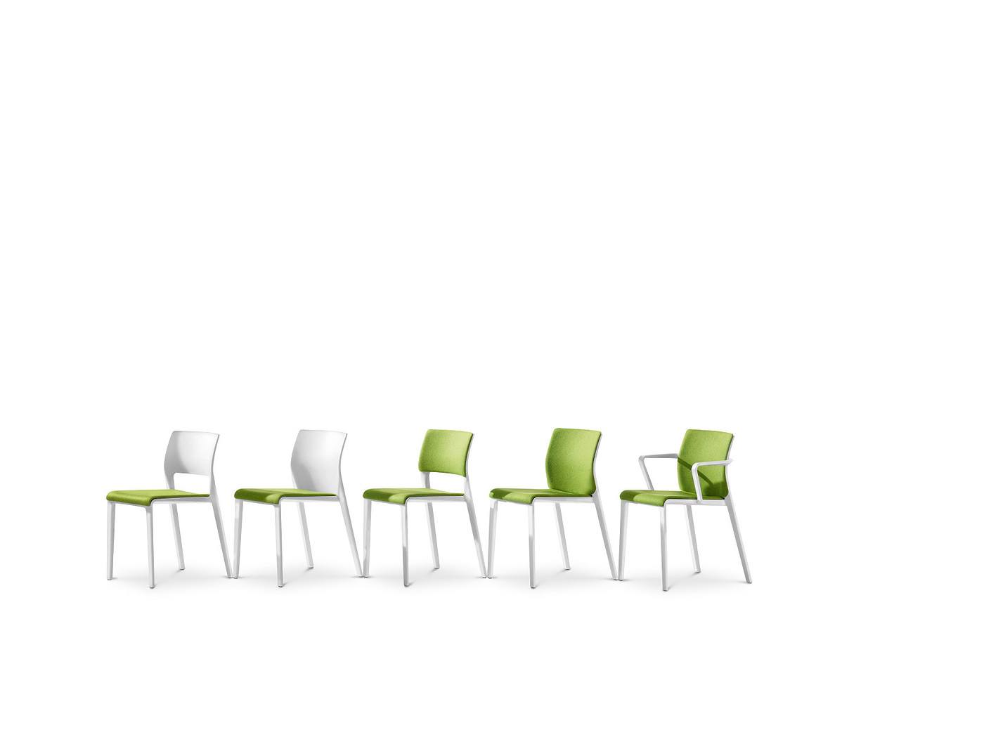 chair，Home Furnishing，furniture，colour，