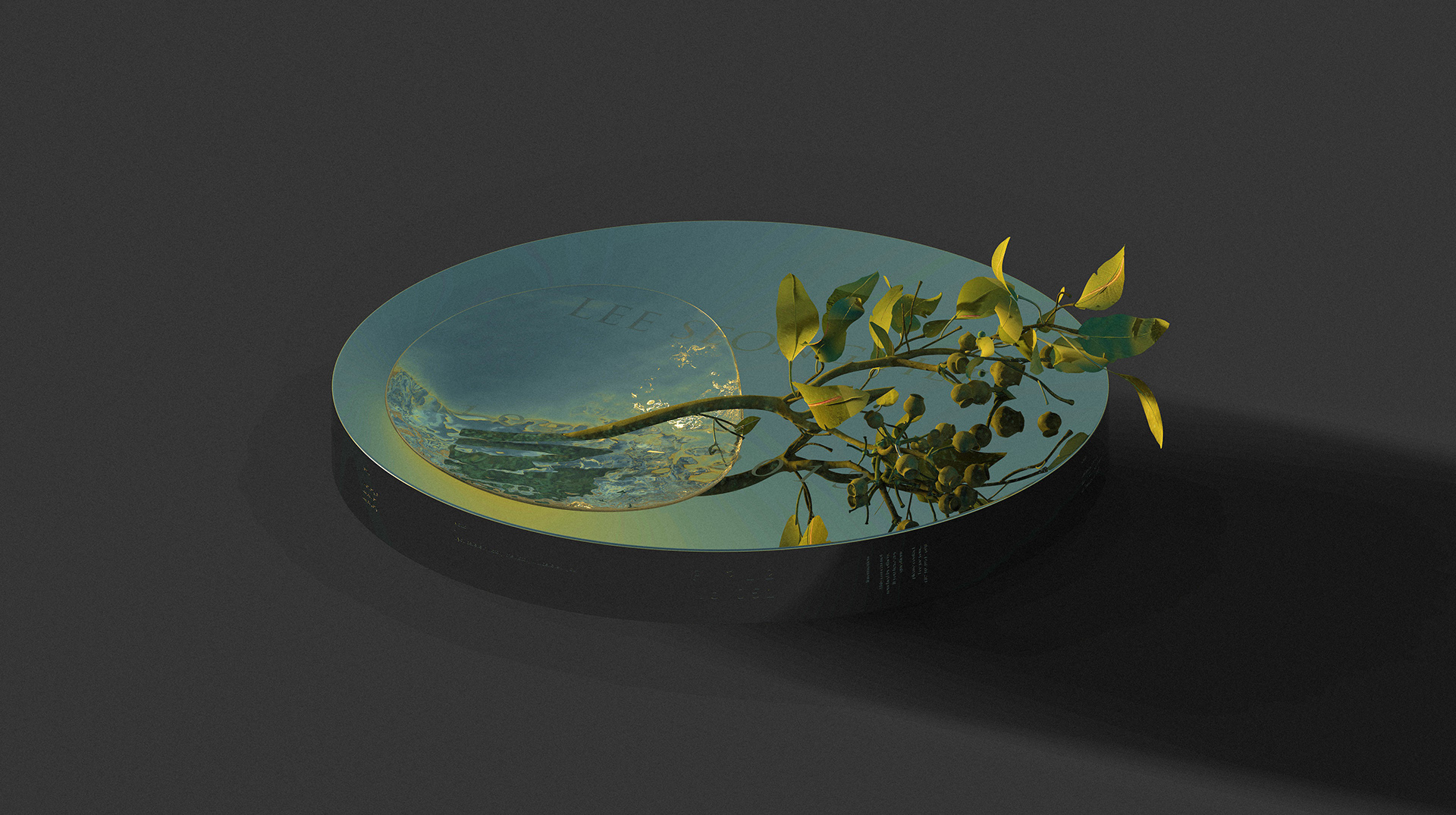 The cinerary casket，Botany，season，