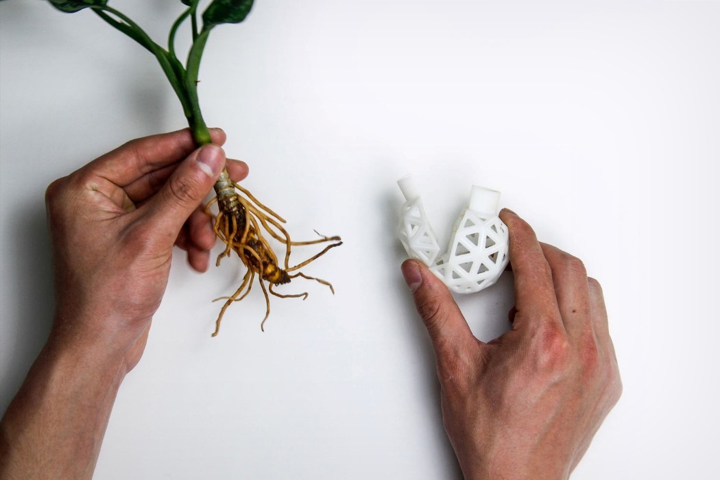 Digital intelligence，3d，3D printing，Botany，Protector，environment protection，