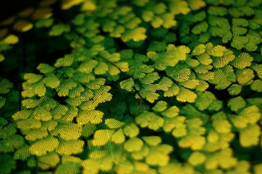 Desk lamp，Creative design，fashion，beautiful，