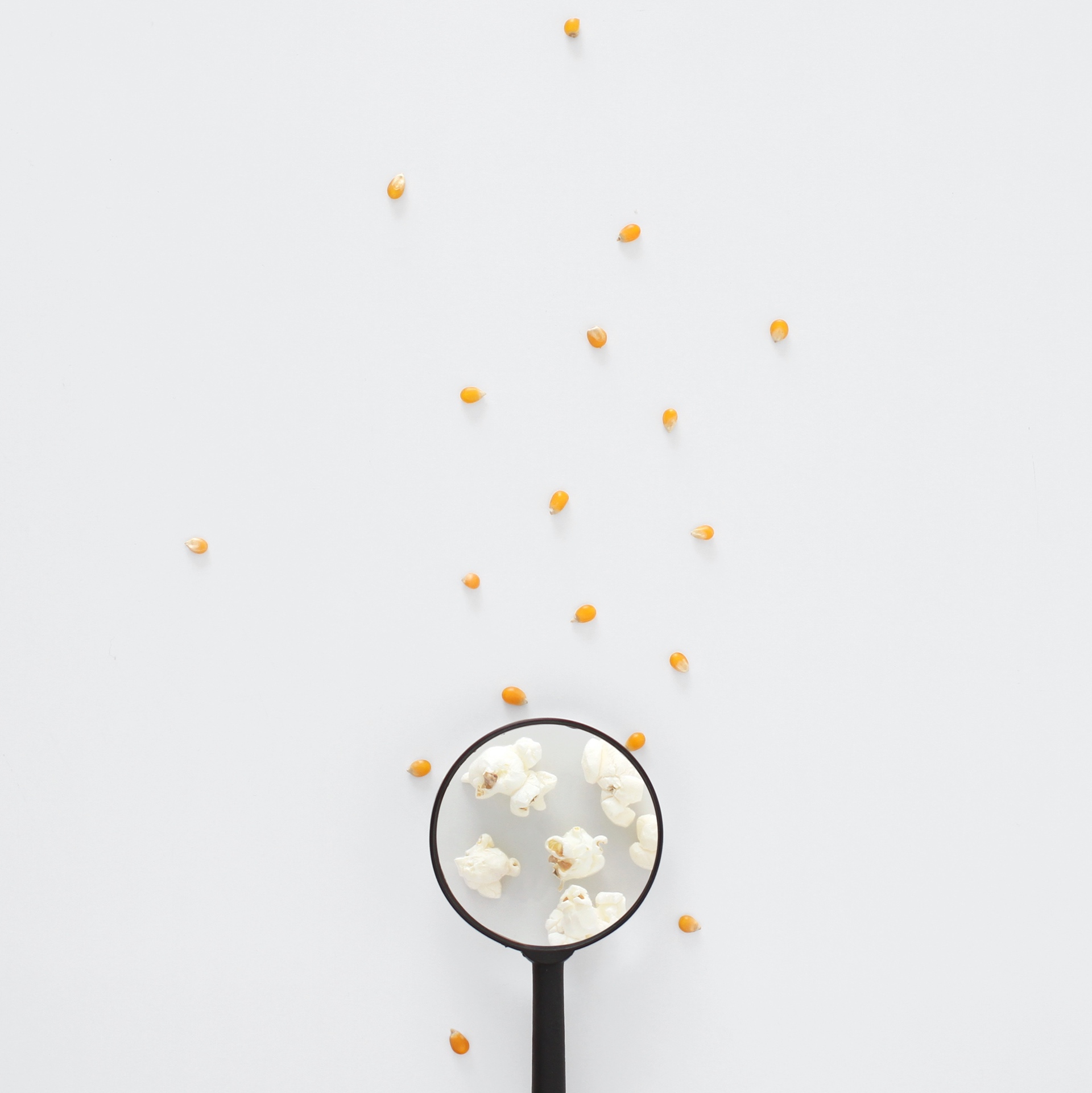 food，originality，Photography，