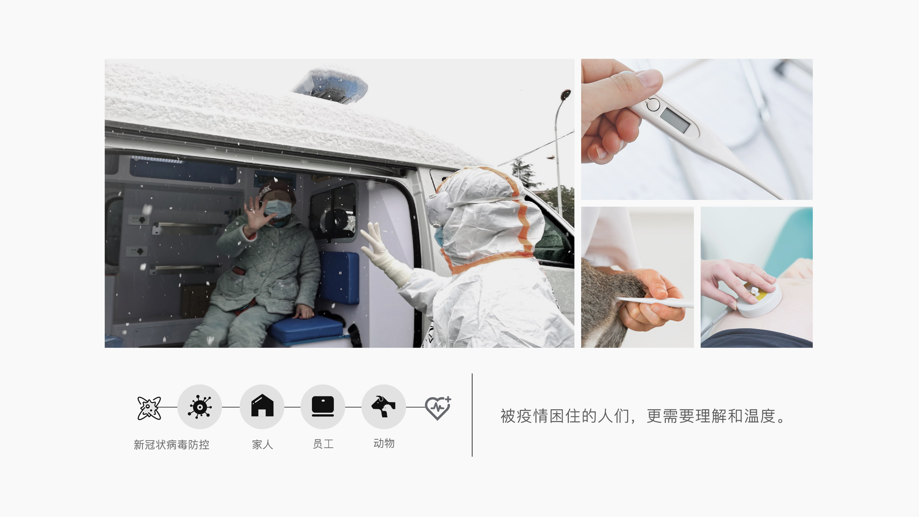 Modularity, body temperature, pet, fetal heart rate，