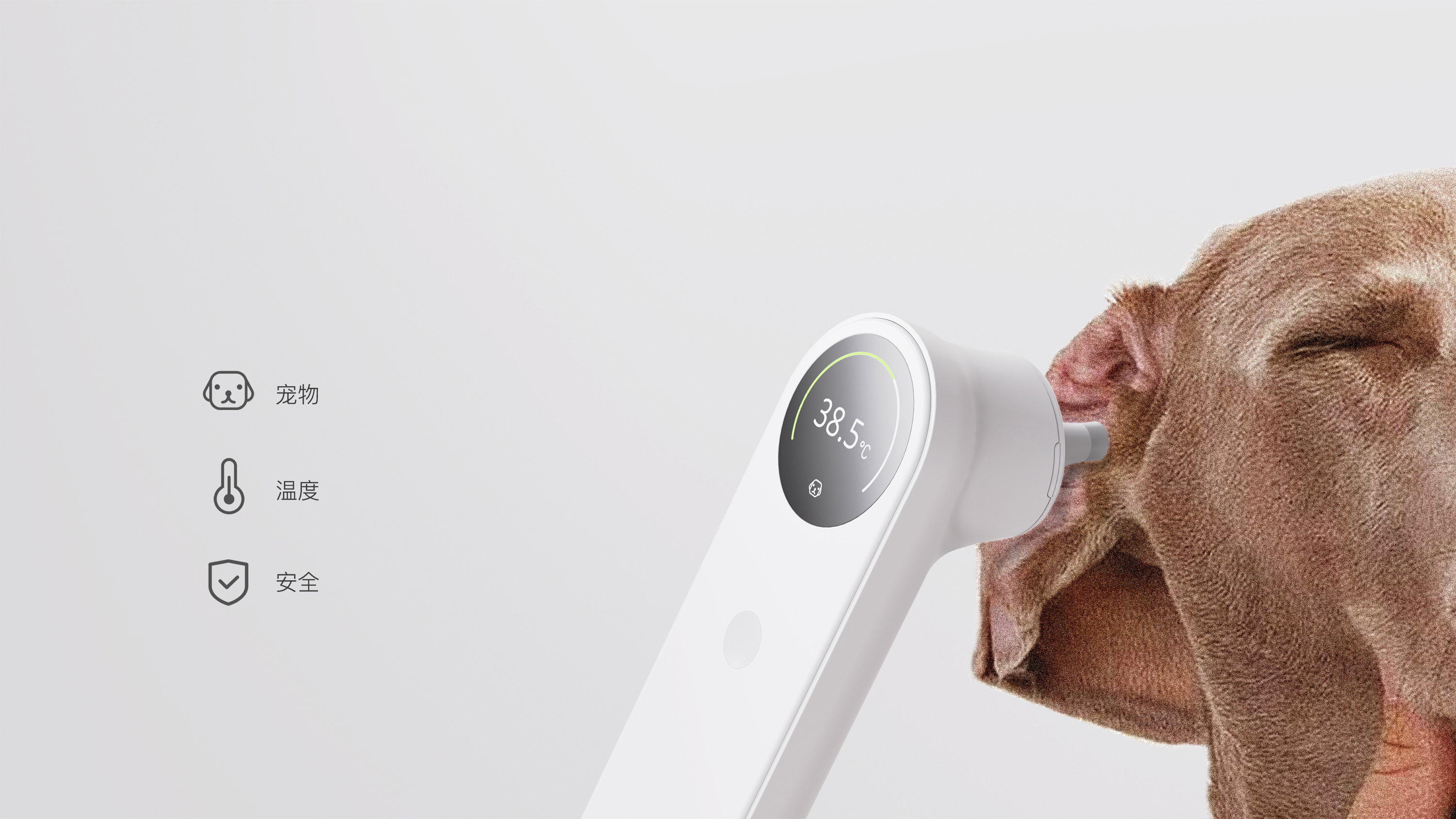 Modularity, body temperature, pet, fetal heart rate，