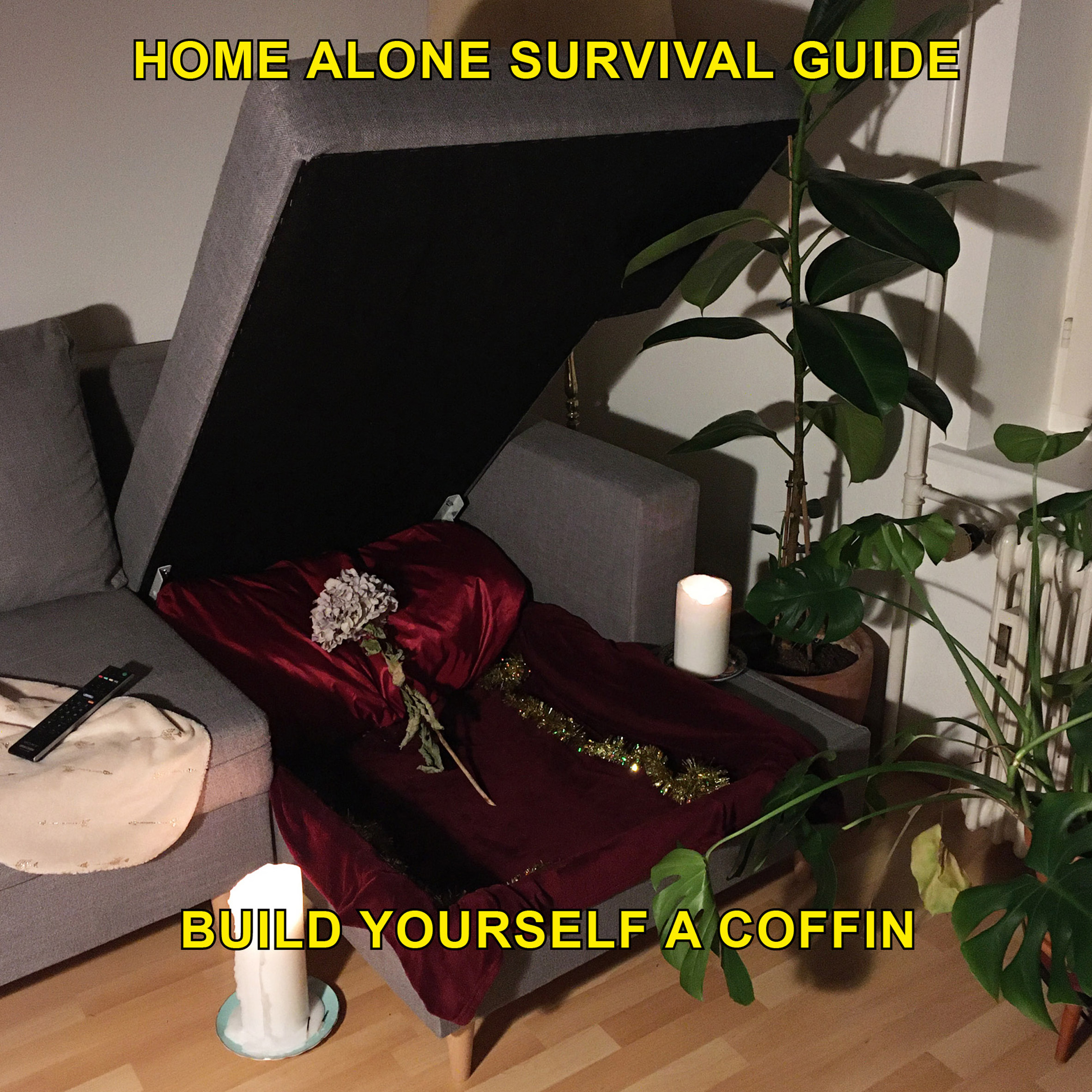 originality，Survival Guide，epidemic situation，Art，Home Alone，