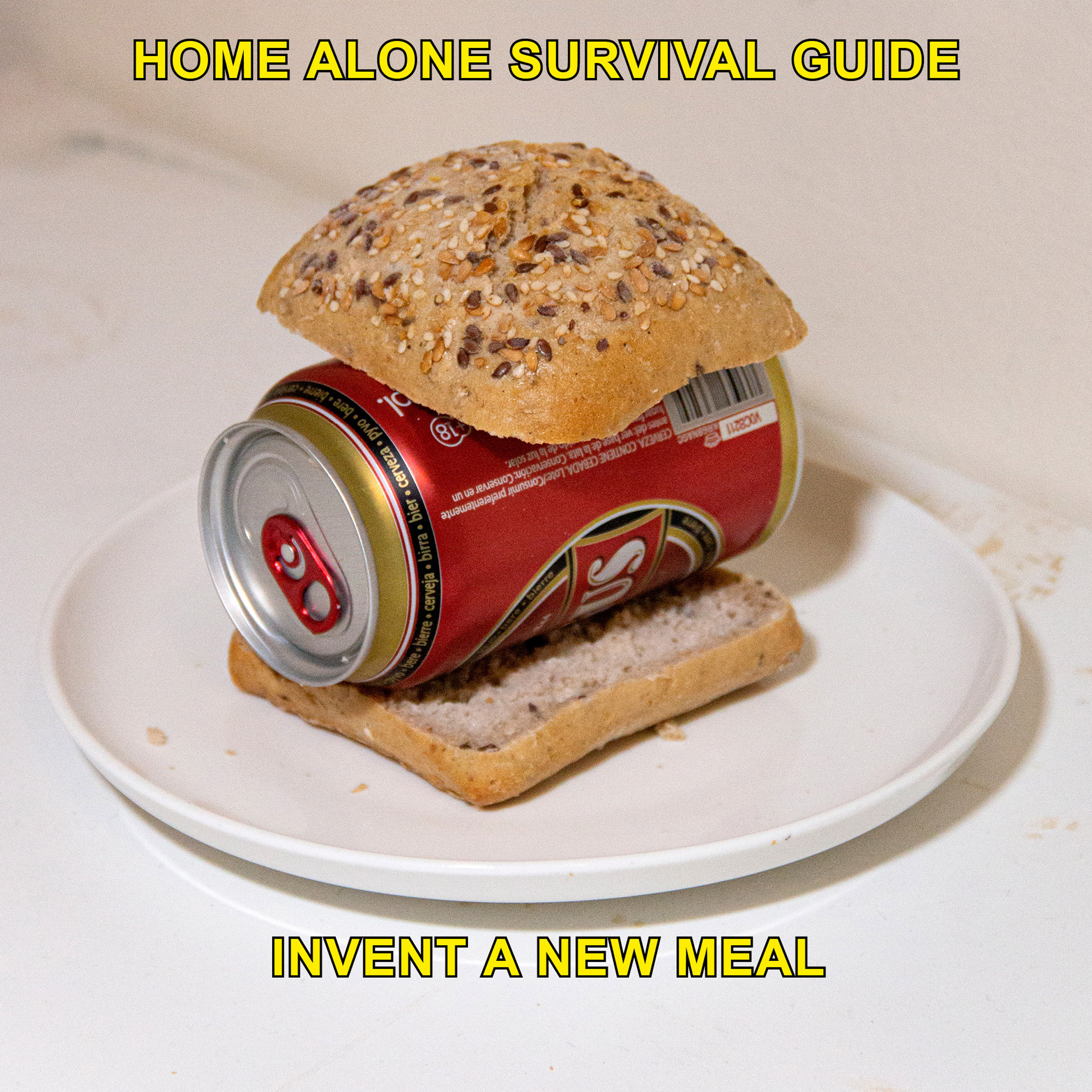 originality，Survival Guide，epidemic situation，Art，Home Alone，