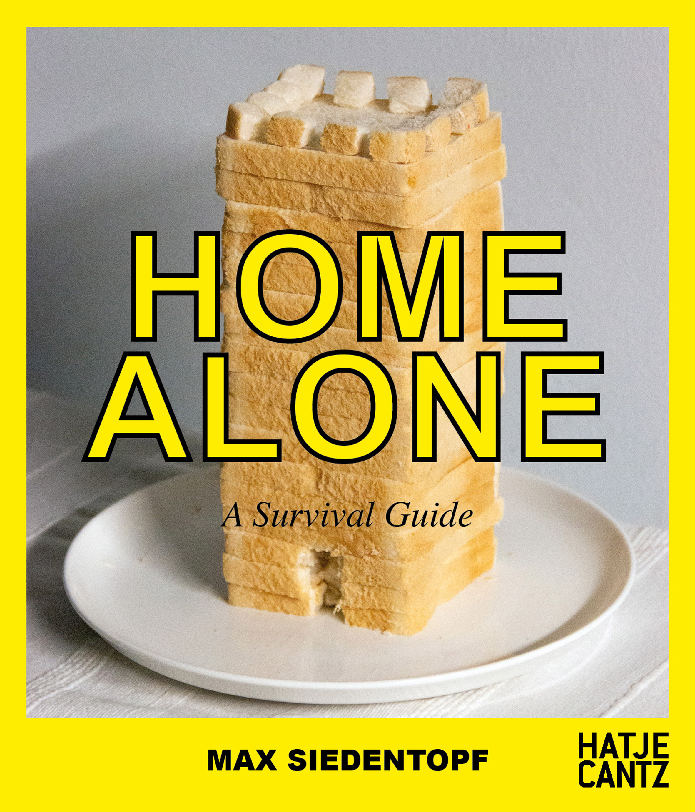 originality，Survival Guide，epidemic situation，Art，Home Alone，