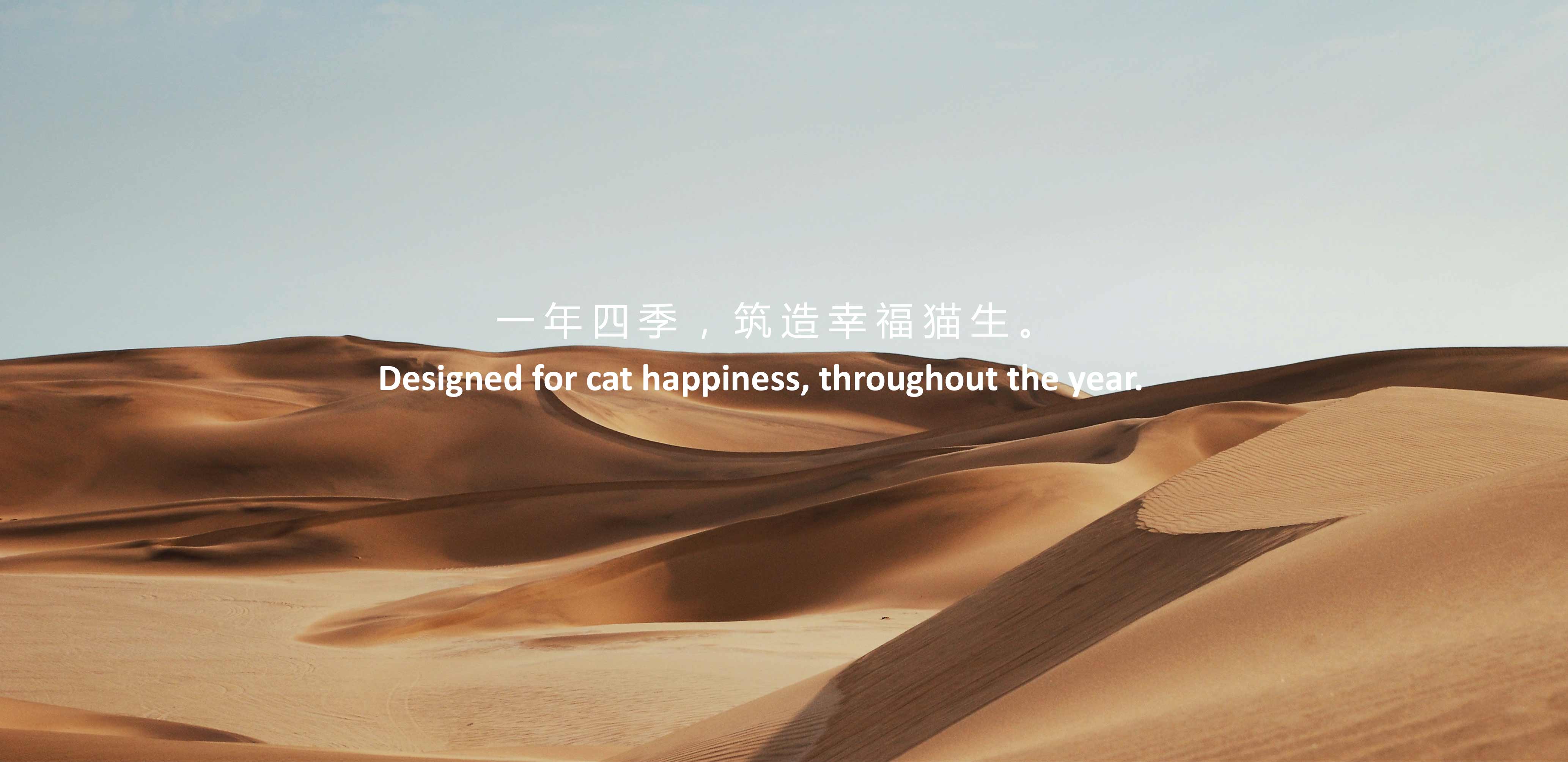 Pet product design，Cat scratch board，Cat nest，Cat climbing frame，