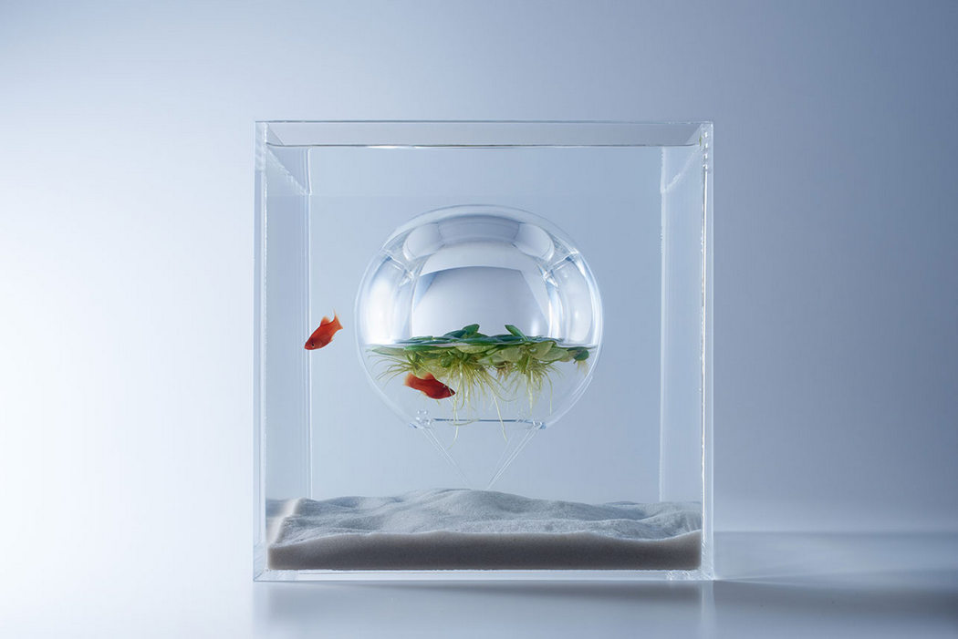 Decorative Aquarium，Interactive sculpture，marine organism，taste，