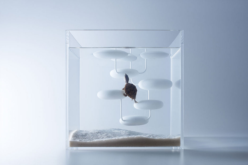 Decorative Aquarium，Interactive sculpture，marine organism，taste，