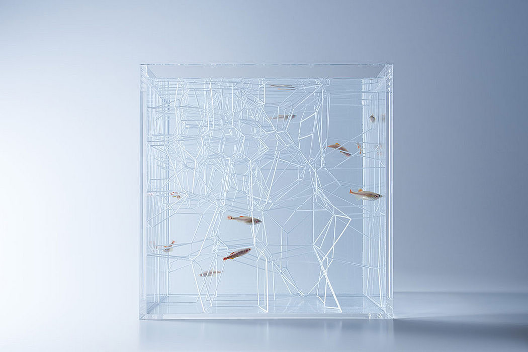 Decorative Aquarium，Interactive sculpture，marine organism，taste，