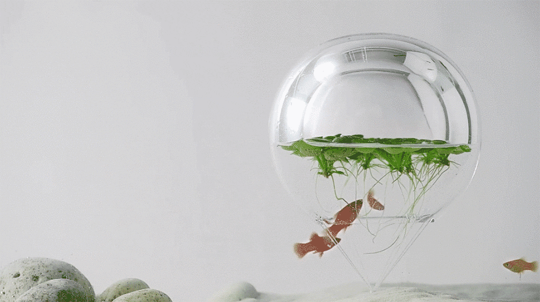 Decorative Aquarium，Interactive sculpture，marine organism，taste，