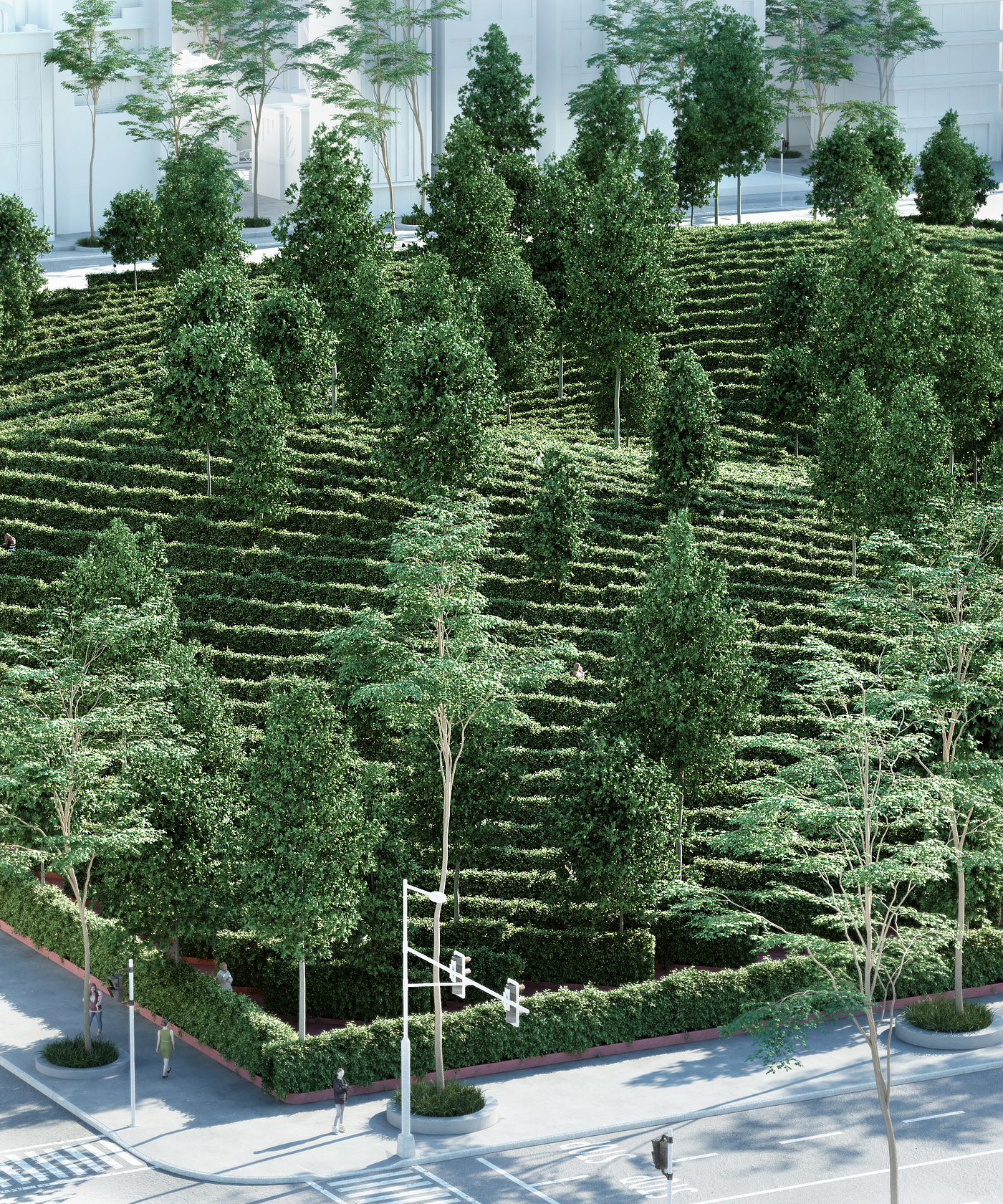 Building interior，maze，park，coronavirus，outdoor activities，distance，