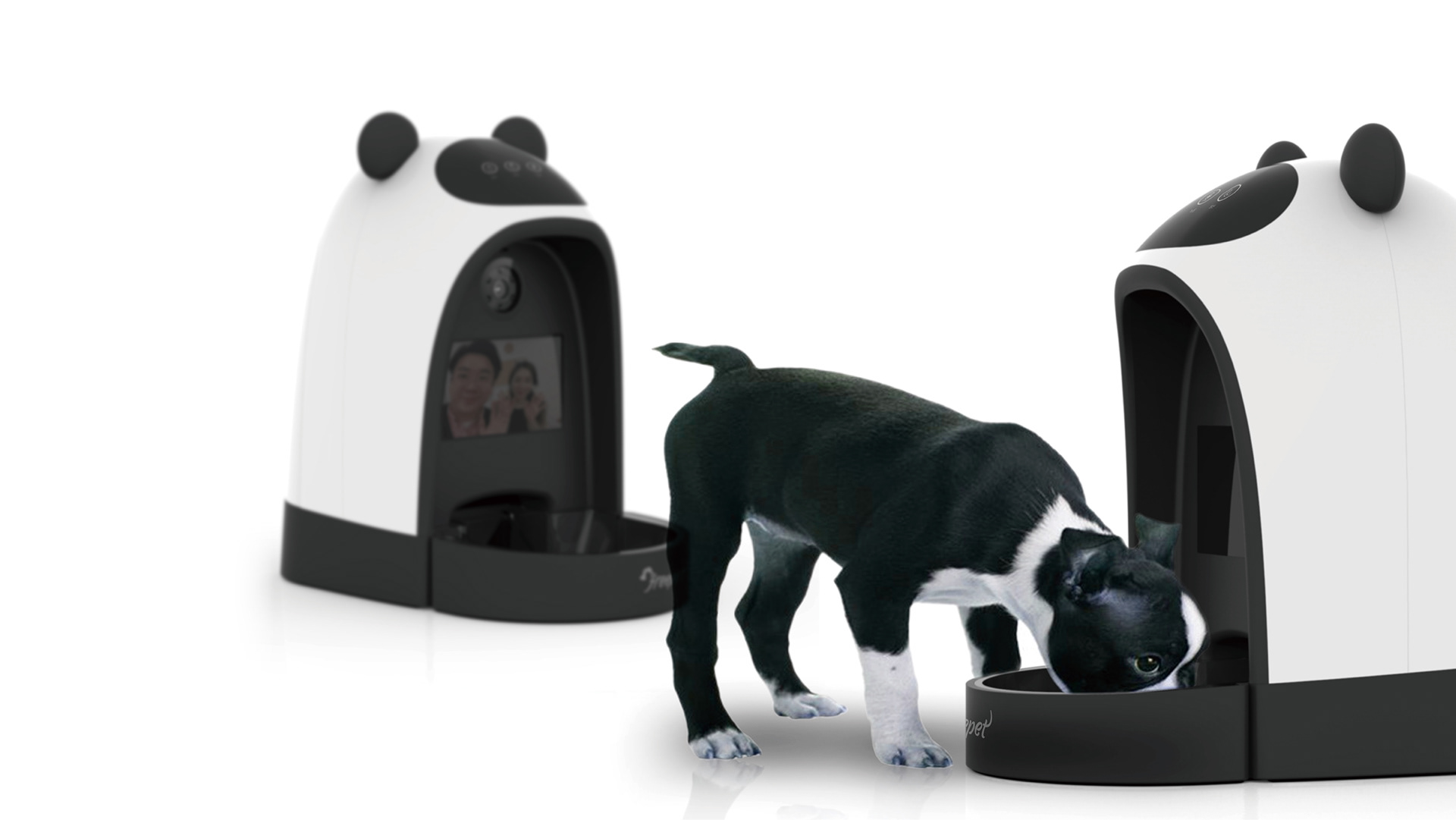 Pets，Feeder，automatic，Internet of things，