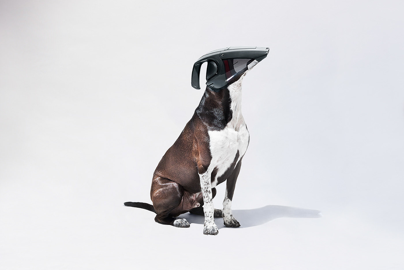 product design，industrial design，intelligence，Robot dog，pet dog，Vacuum cleaner，