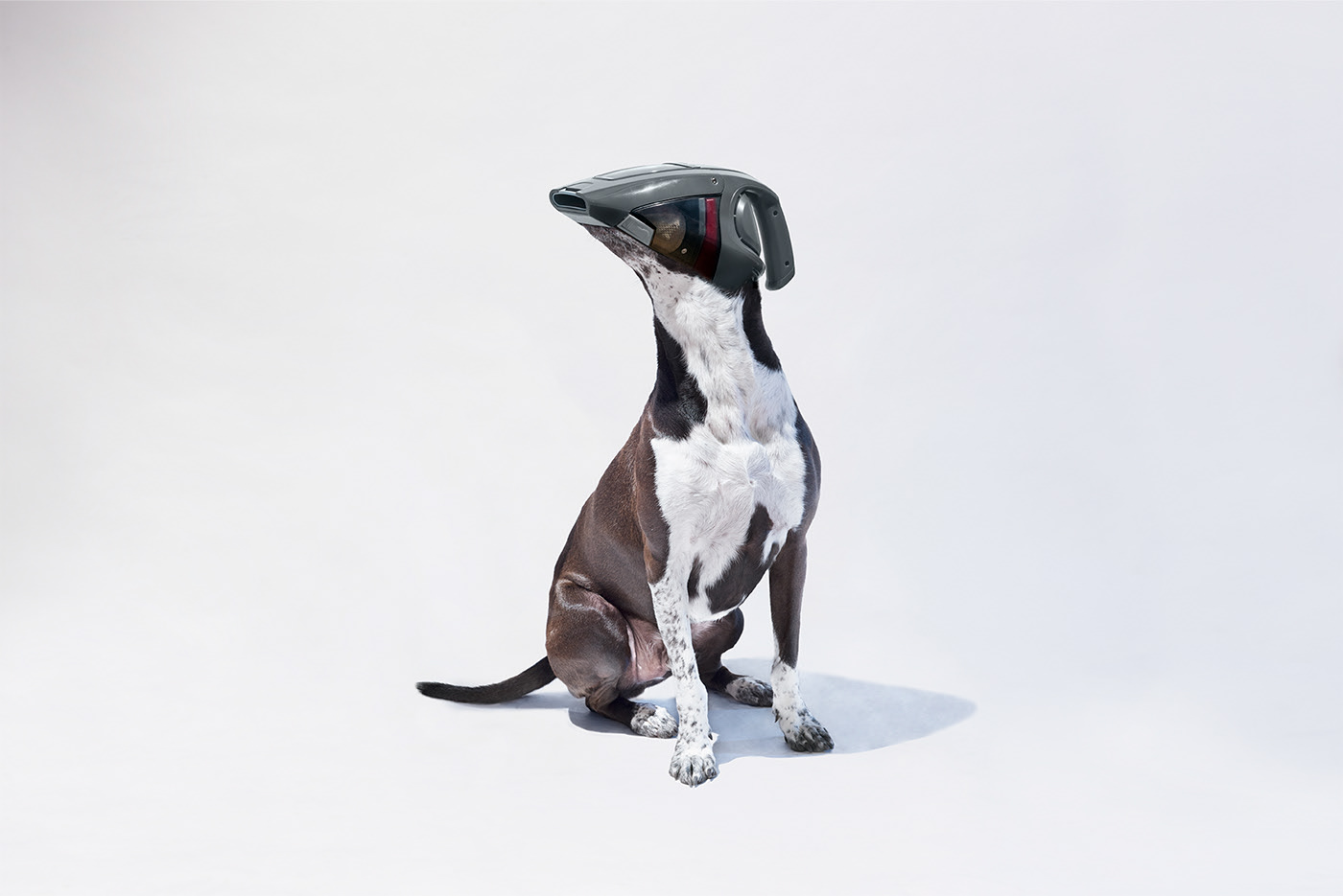 product design，industrial design，intelligence，Robot dog，pet dog，Vacuum cleaner，