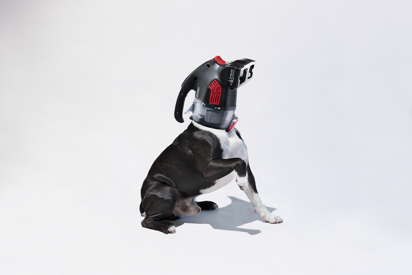 product design，industrial design，intelligence，Robot dog，pet dog，Vacuum cleaner，