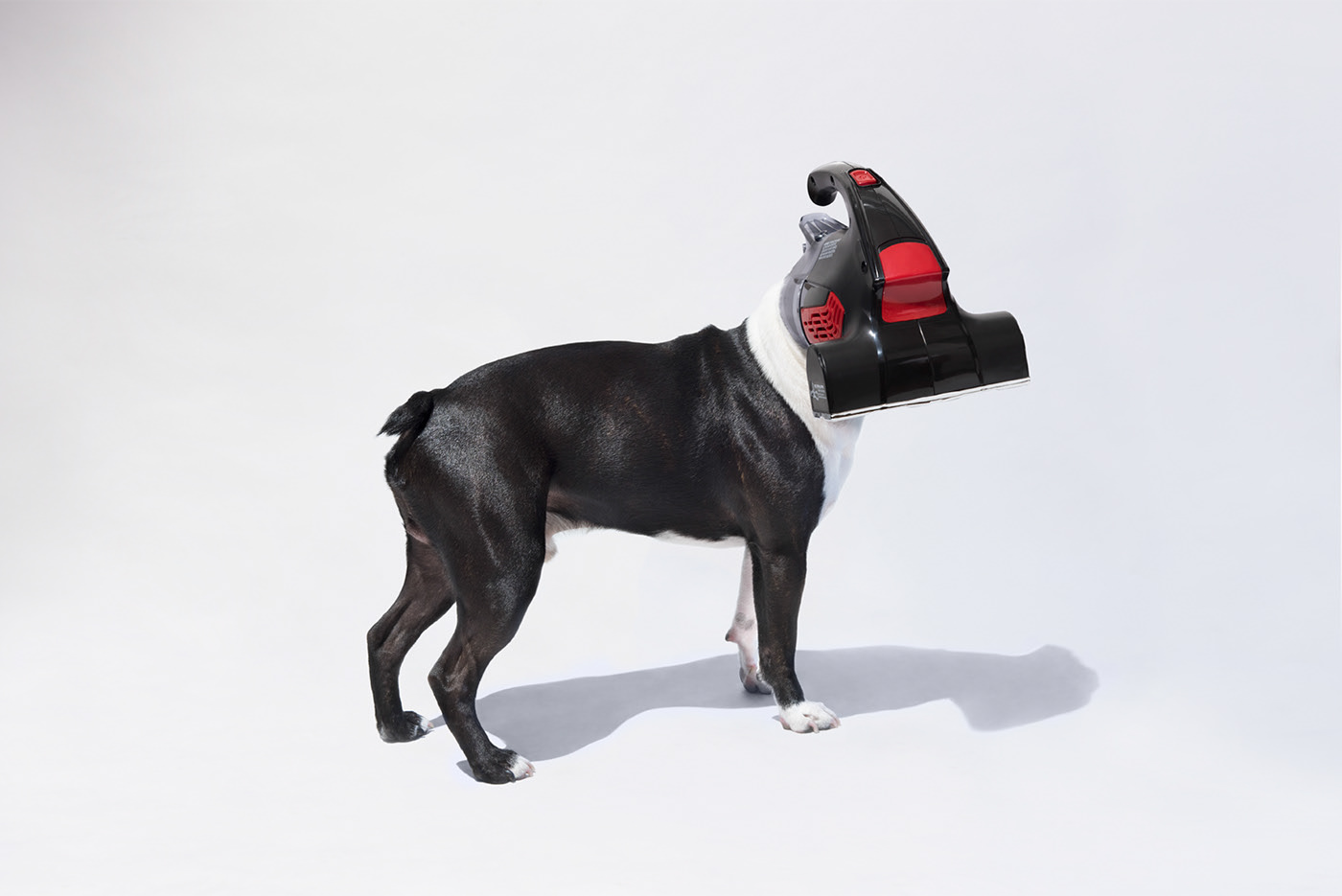 product design，industrial design，intelligence，Robot dog，pet dog，Vacuum cleaner，