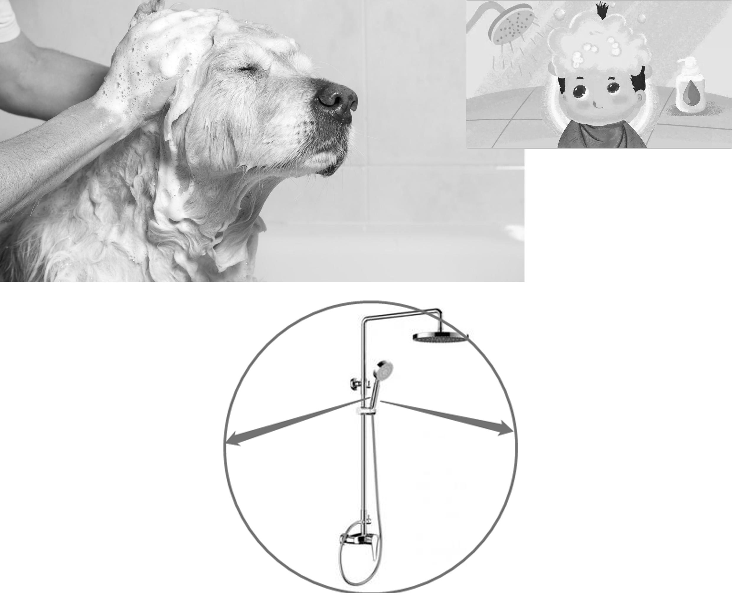 silica gel，Shower patch，Daily Necessities，Listed，Original design，