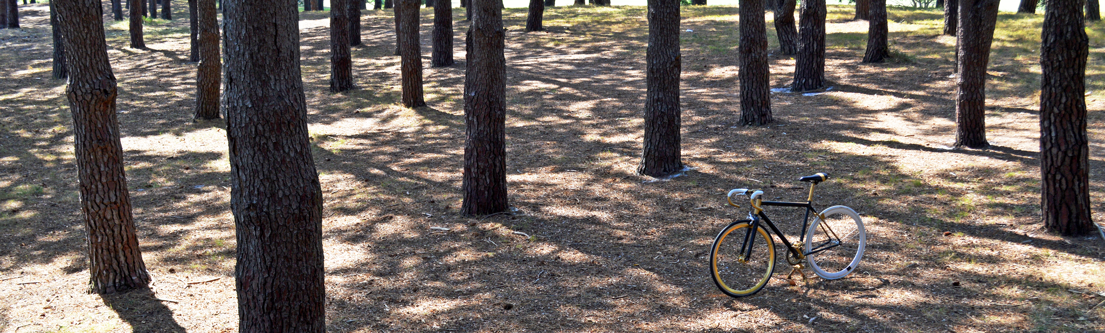 motion，delicate，lithe，comfortable，product design，