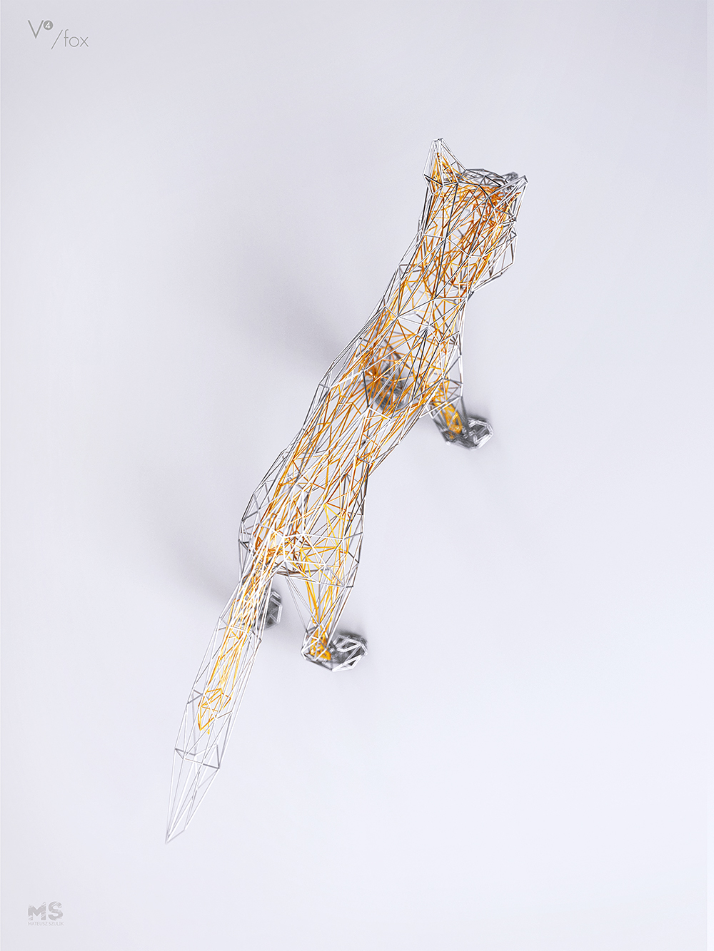 WIRES，fashion，female sex，animal，originality，