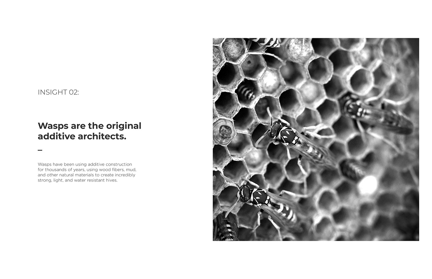 3D printing，Architecture，Material Science，concept，indoor，