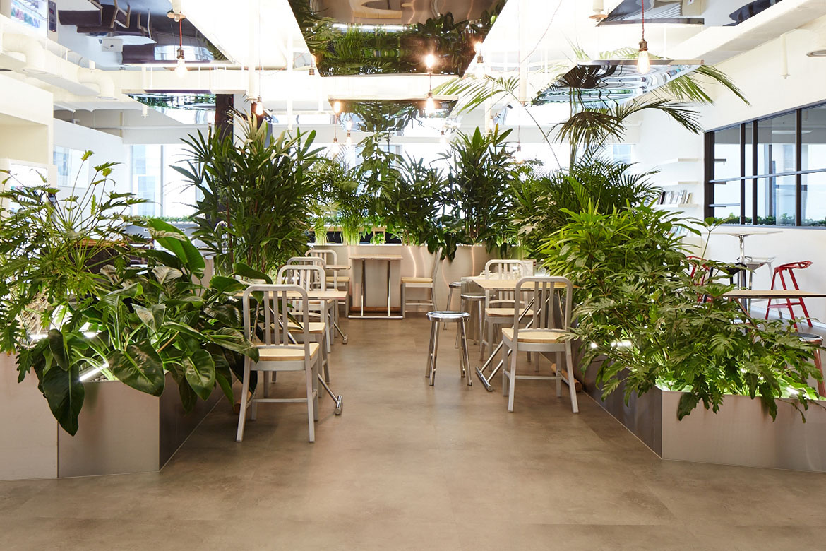 Home furniture，cafeteria，Table，light，Flamingo，