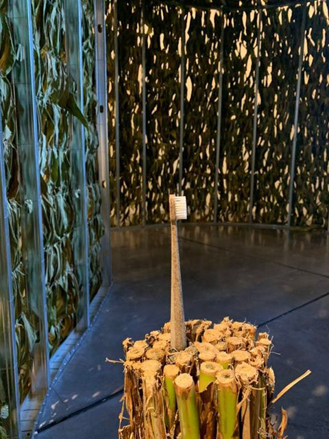 toothbrush，disposable，biodegradable，environment protection，