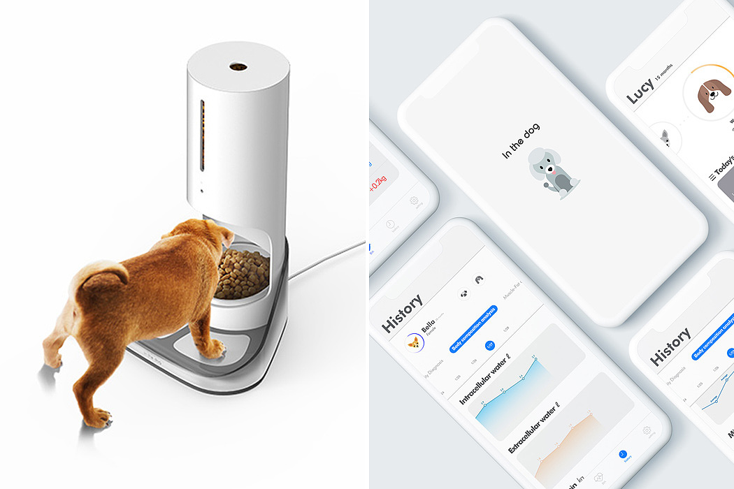 AUTOMATIC DOG FEEDER，自动喂狗器，