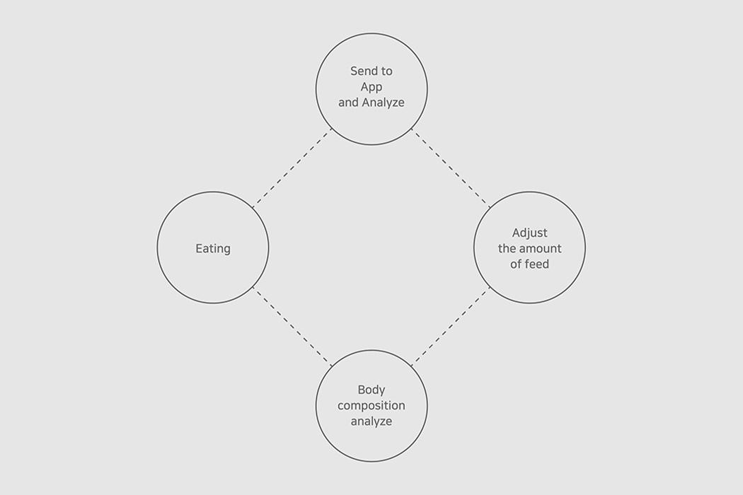 AUTOMATIC DOG FEEDER，Automatic dog feeder，