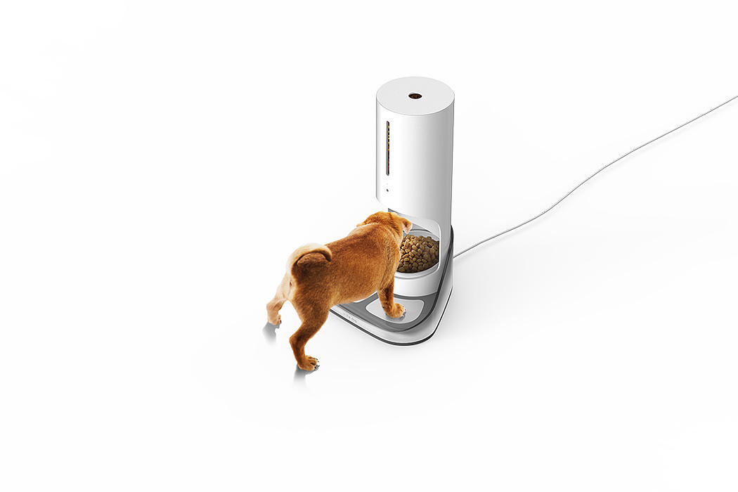 AUTOMATIC DOG FEEDER，自动喂狗器，